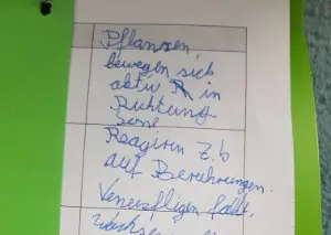 Coaching für Kinder, Jugendliche, Schüler, Familien in Heidelberg | Leichter Lernen 17 schrift_jonas_vorher-300