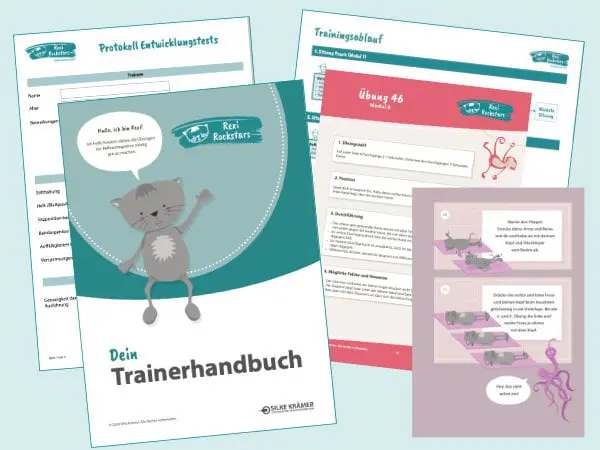 trainer-mat-600-2 reflexintegration-ausbildung-materialien