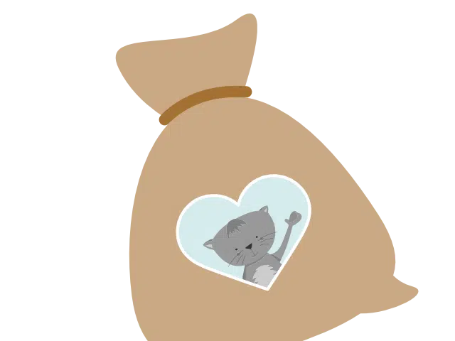 Reflexintegration Übungen und Training – Onlinekurs Reflexintegration Eltern und Kind 25