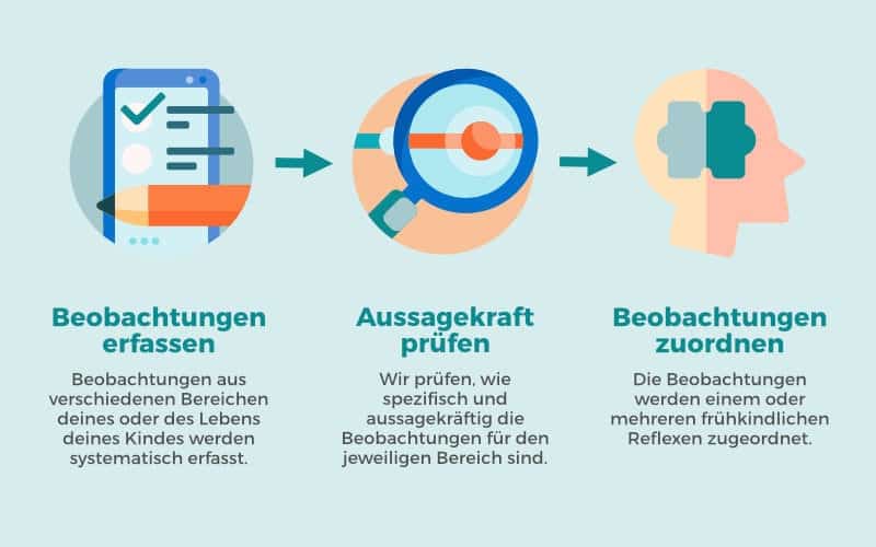 reflexintegration-ausbildung-online-theorie